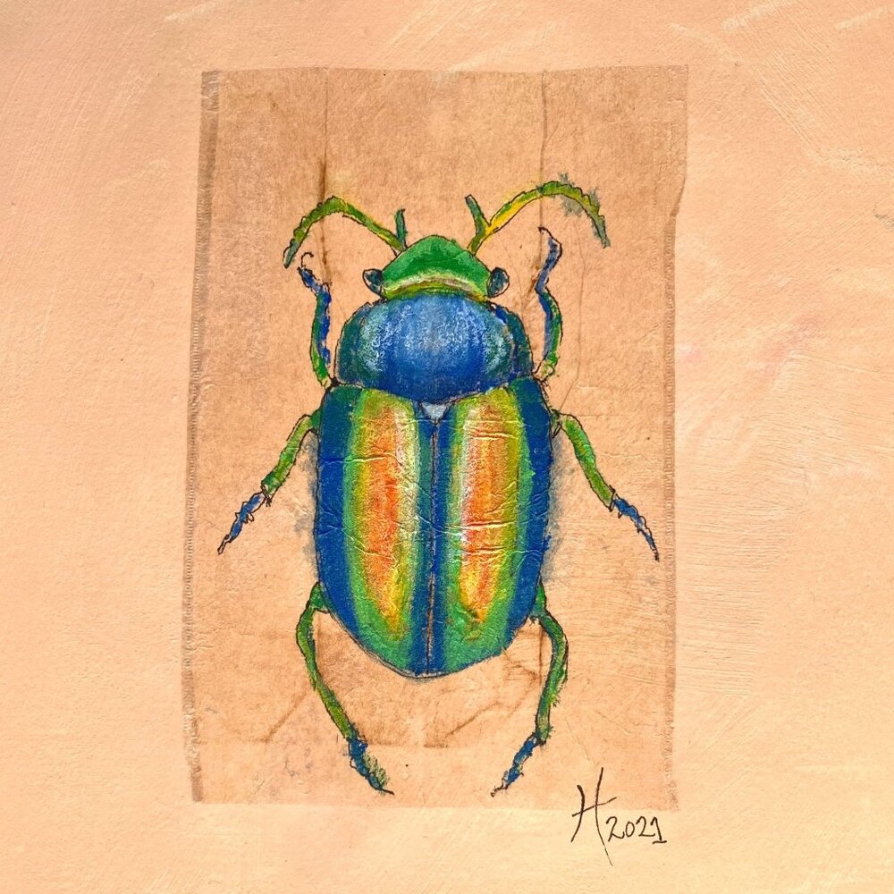 Beetle No 2 Original Art Acrylic Painting by Artist Tristina Dietz Elmes 11x14in